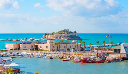 licensed-image (6).jpg