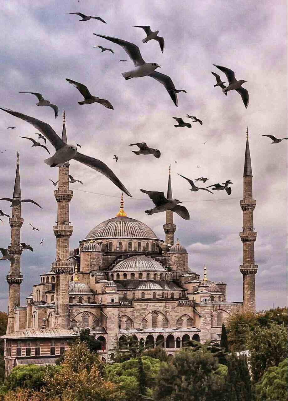 تور استانبول 4 شب و 5 روز ویژه نوروز 1405